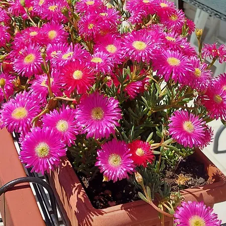 Apartamento Valeria's House